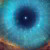 Profile photo of sanzz