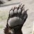 Profile photo of okuma91